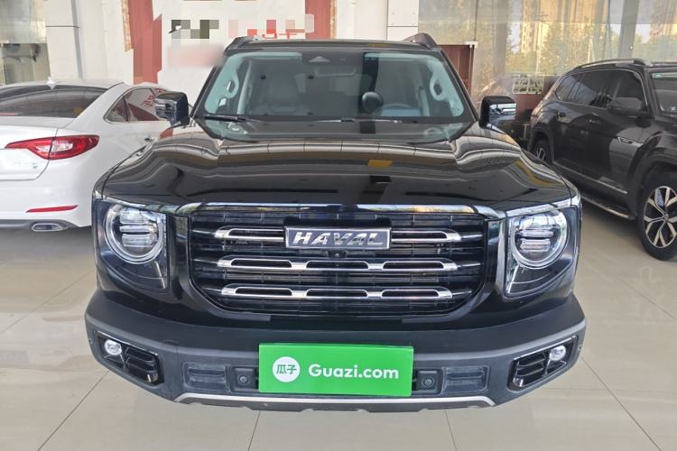 Used Haval DARGO 2022 2.0T DCT 4x4 Chinese Rural Dog Edition
