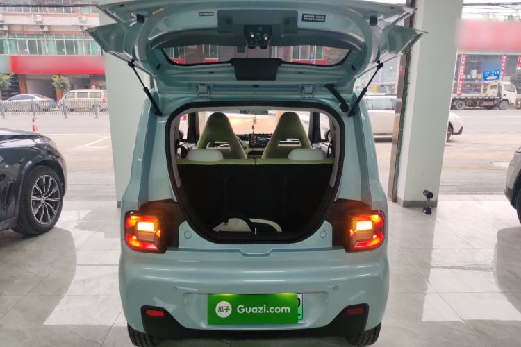 Used  Panda 2024 Panda Mini 200km Endurance Bear
