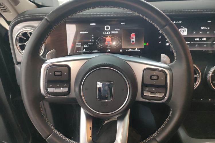 Used Tank 300 2024 2.0T Conqueror
