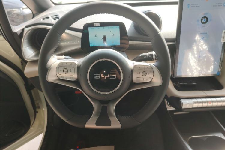 Used BYD Dolphin 2025 420km Free Edition
