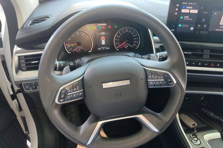 Used Haval H6 2021 National Trend Edition 1.5T Automatic Urban Version
