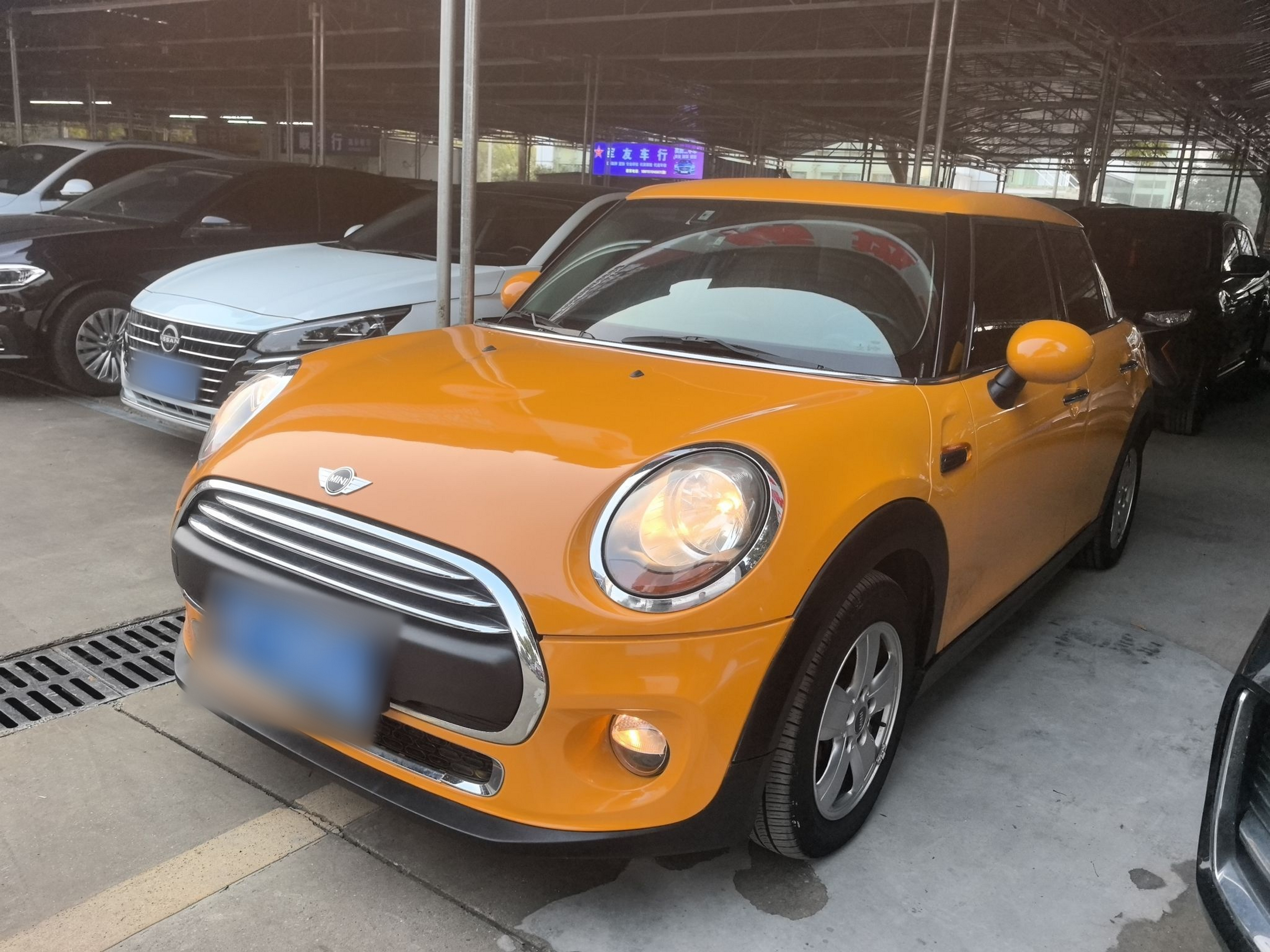 تحت مقدمة السيارة