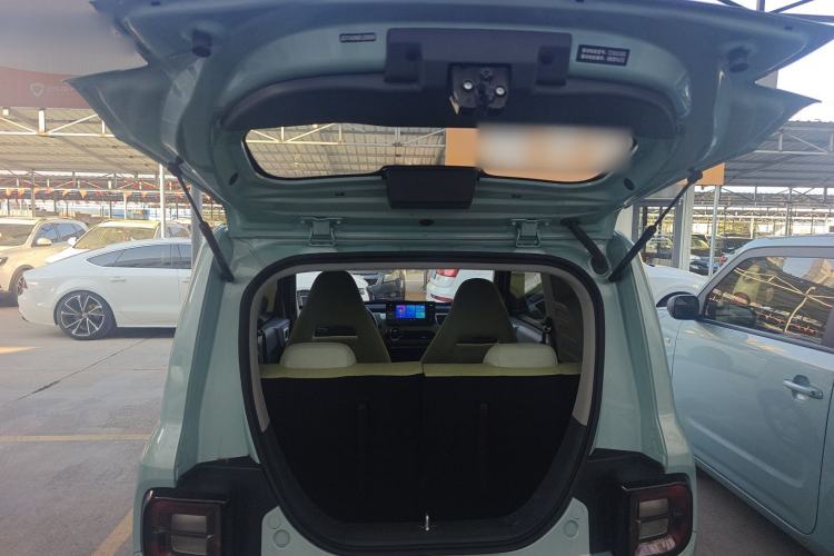 Used  Panda 2024 Panda Mini 200km Endurance Bear
