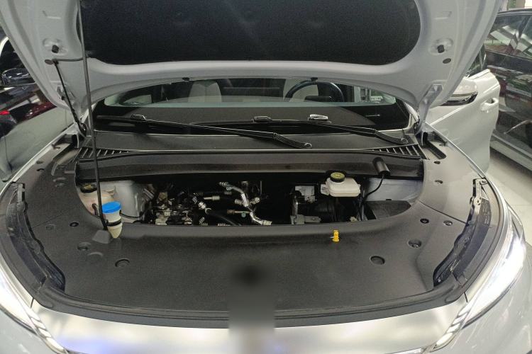 Used BYD Yuan PLUS 2023 Champion Edition 510KM Leading Model
