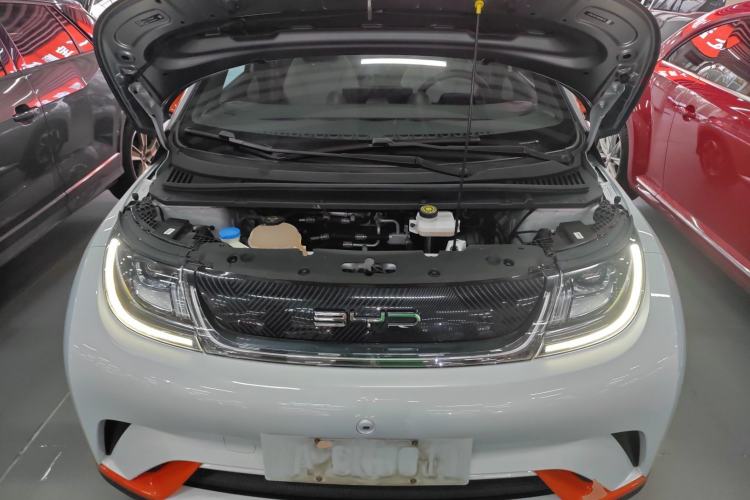 Used BYD Dolphin 2021 405 km Fashion Edition
