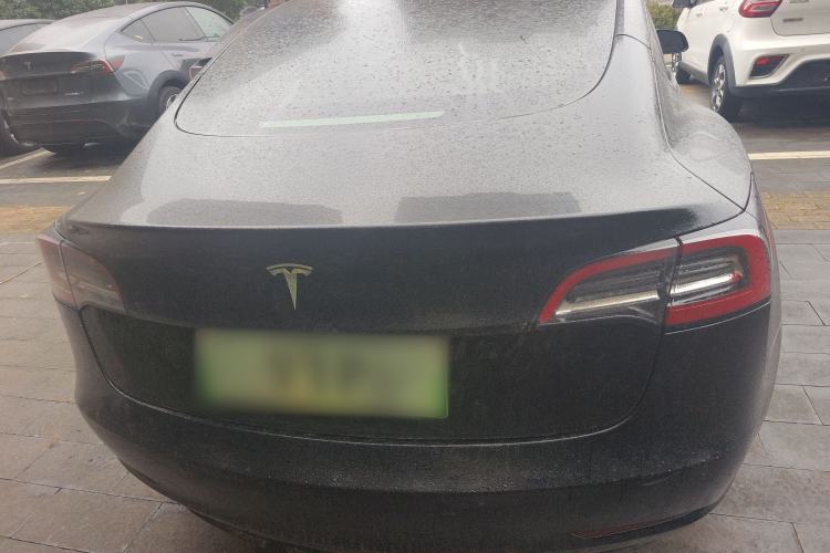 Used Tesla Model 3 2021 Standard Range Rear-Wheel Drive Upgraded Version 3D6
