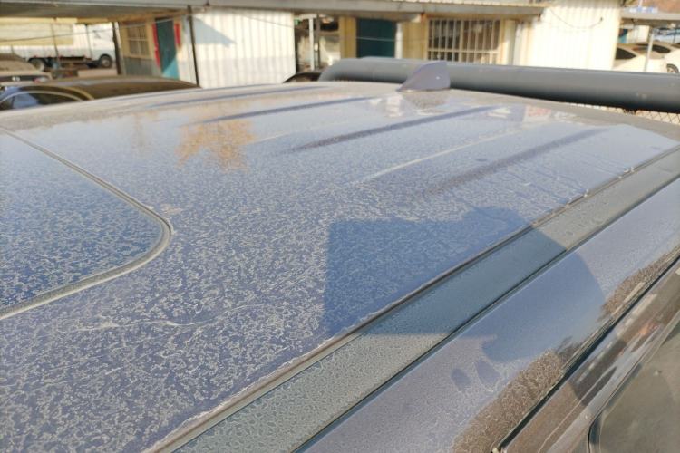 Used Great Wall Poer 2019 2.0T Automatic Gasoline Two-Wheel Drive Comfort Edition GW4C20B