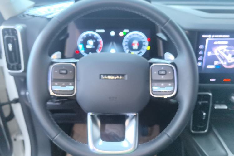 Used Haval DARGO 2024 2.0T DCT Chinese Rural Dog Edition
