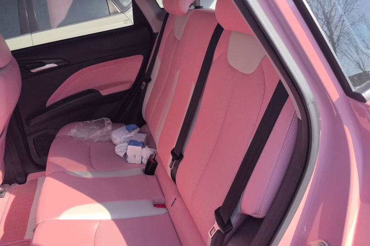 Used NETA V 2021 Witch Edition