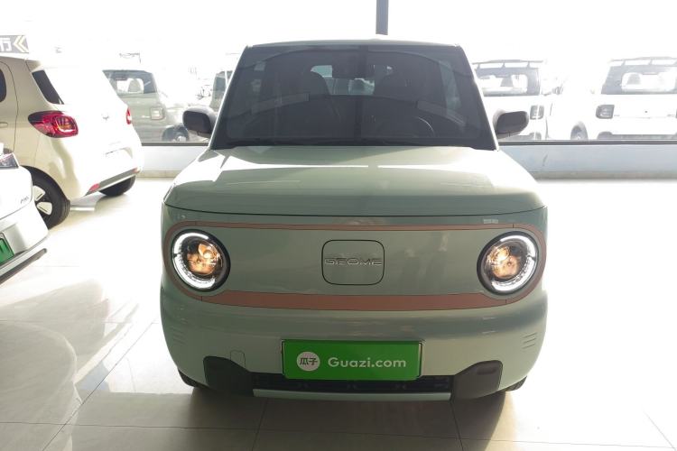 Used  Panda 2024 Panda Mini 200km Endurance Bear
