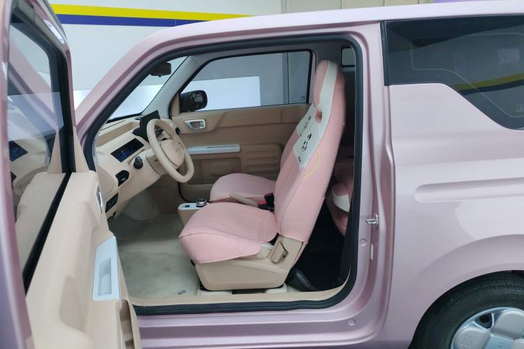 Used  Panda 2023 Panda Mini 200km Endurance Bear
