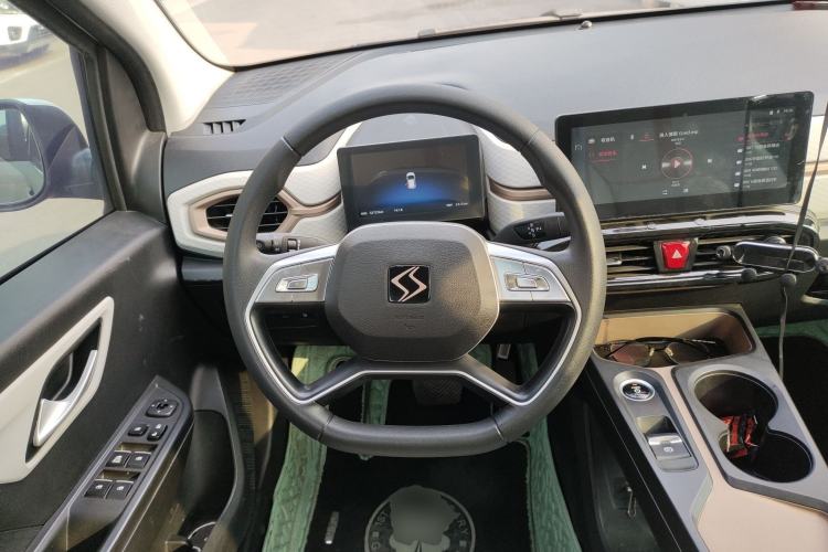 Used SOL E10X 2022 Flower Fairy Design Four-Leaf Clover
