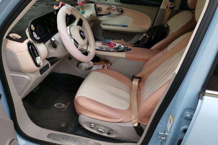 Used ORA Ballet Cat 2022 401 km Nutcracker Edition
