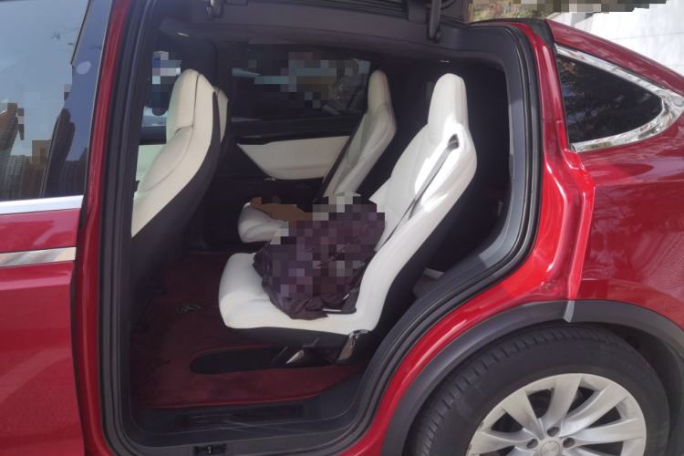 Used Tesla Model X 2017 X 100D Long Range Edition