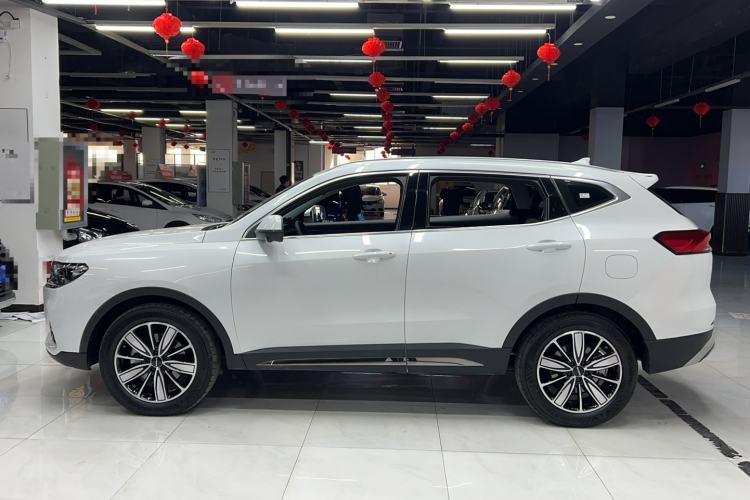 Used Haval H6 2023 National Trend Edition 1.5T Automatic Champion Version
