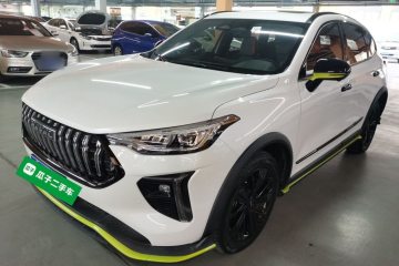 Used Haval LHERY 2021 GT Edition 1.5T Platinum Rabbit