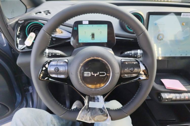 Used BYD Dolphin 2025 420km Free Edition
