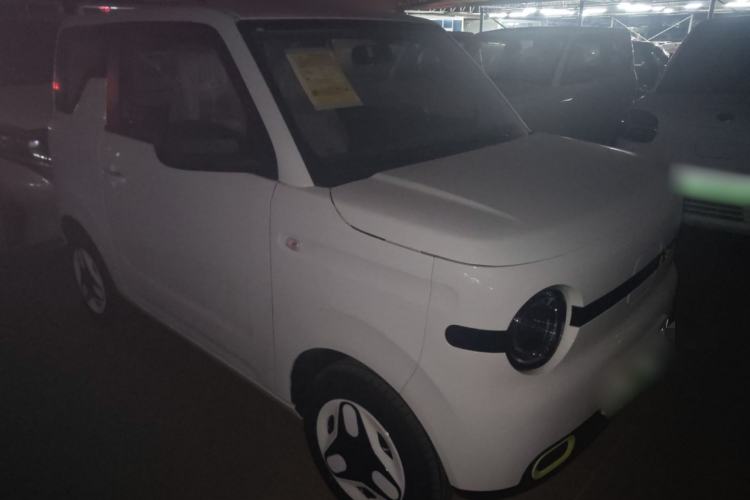 Used  Panda 2025 210 km – Yuanqi Bear
