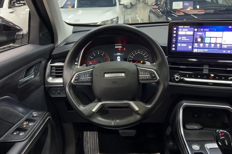 Used Haval H6 2023 National Trend Edition 1.5T Automatic Urban Version
