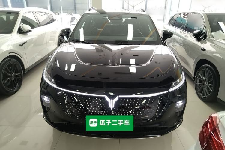 Used VOYAH COURAGE 2024 Four-Wheel Drive Global Edition