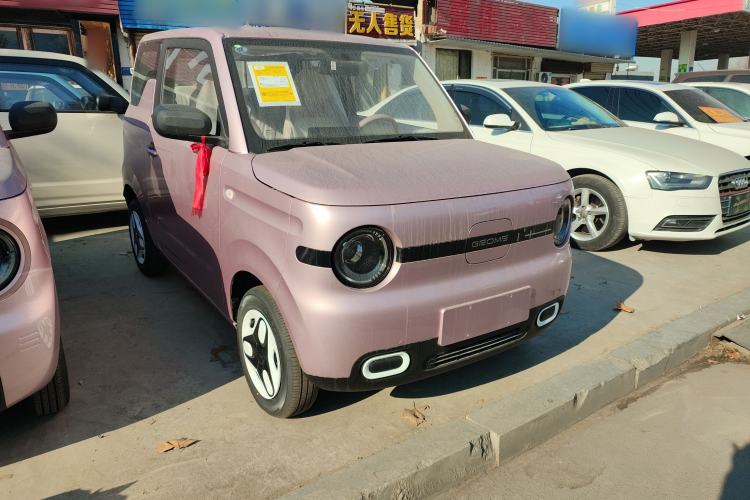 Used  Panda 2025 210 km – Yuanqi Bear
