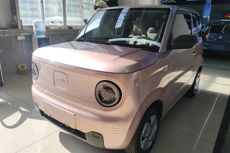 Used  Panda 2023 Panda Mini 200km Endurance Bear
