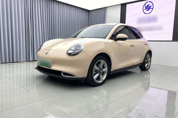 Used ORA Good Cat 2023 401 km Standard Range Luxury Version Lithium Iron Phosphate