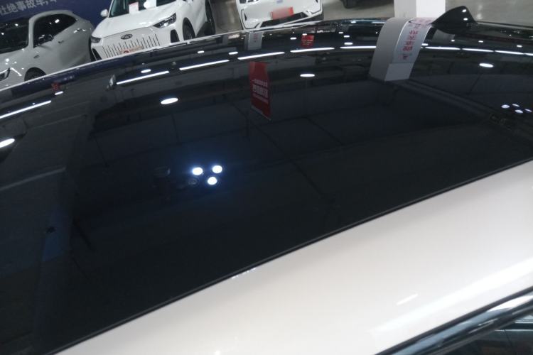 Used  LS6 2023 Max Extended-Range Version