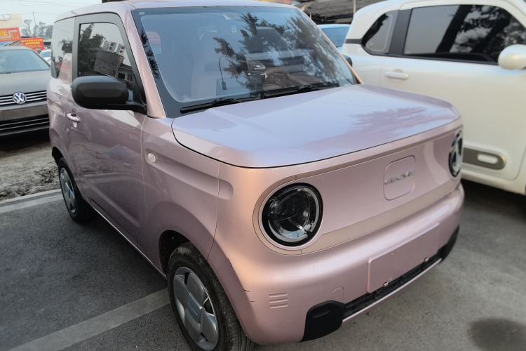 Used  Panda 2023 Panda Mini 200km Endurance Bear
