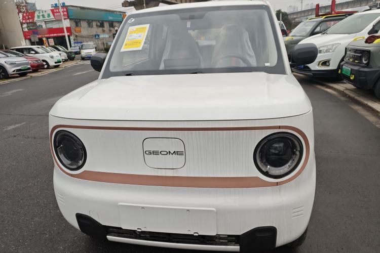 Used  Panda 2024 Panda Mini 200km Endurance Bear
