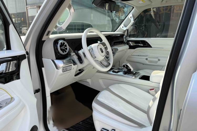 Used  Tank 300 2021 2.0T Cyber Tank
