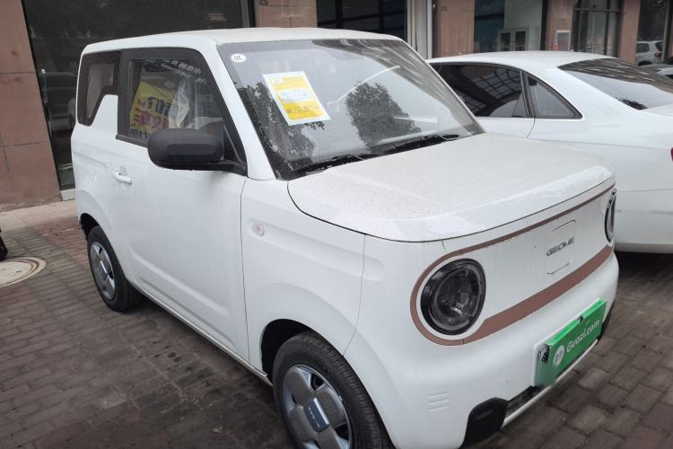 Used  Panda 2024 Panda Mini 200km Endurance Bear
