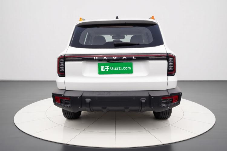 Used Haval DARGO 2024 2.0T DCT Chinese Rural Dog Edition