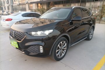 Used Wey VV6 2020 2.0T Two-Wheel Drive Smart Protection+