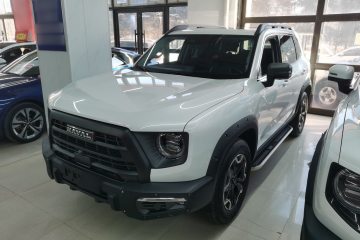 Used Haval DARGO 2024 2.0T DCT Chinese Rural Dog Edition