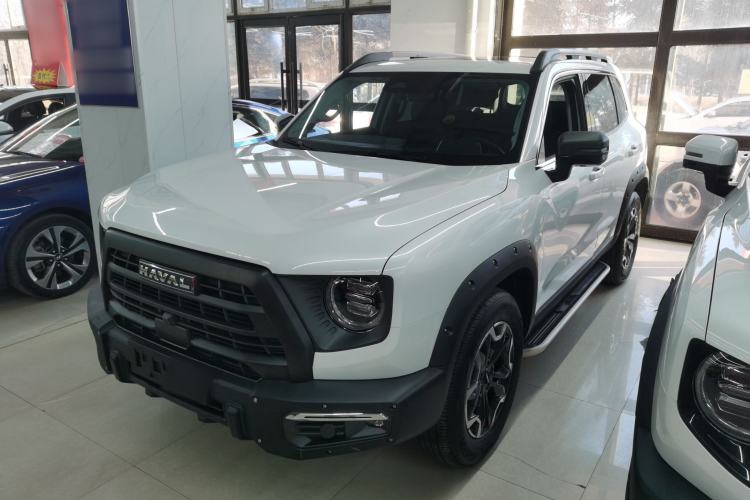 Used Haval DARGO 2024 2.0T DCT Chinese Rural Dog Edition