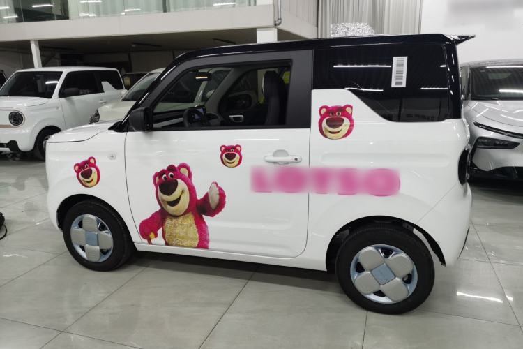 Used  Panda 2024 Panda Mini 200km Endurance Bear