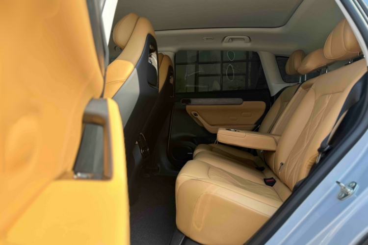 Used Leapmotor C11 2024 All-Electric 580 Luxury Edition
