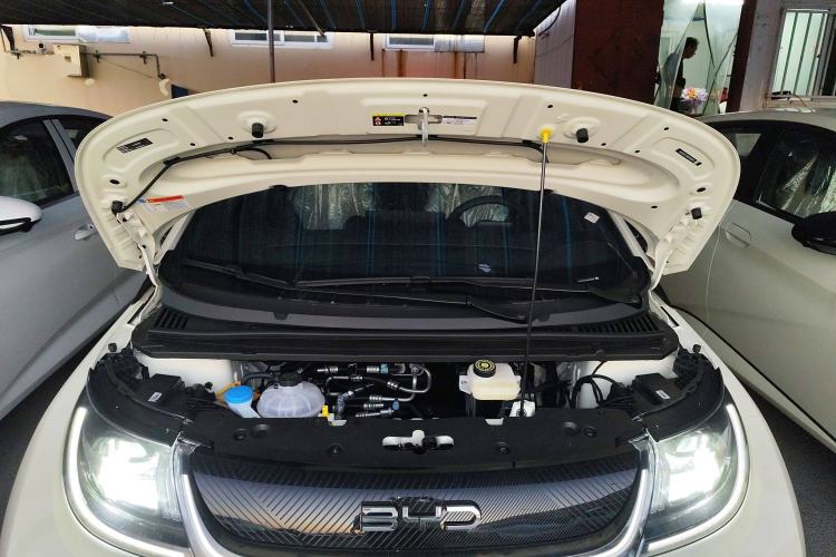 Used BYD Dolphin 2025 420km Free Edition
