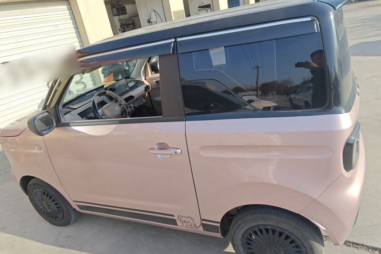 Used  Panda 2023 Panda Mini 200km Endurance Bear
