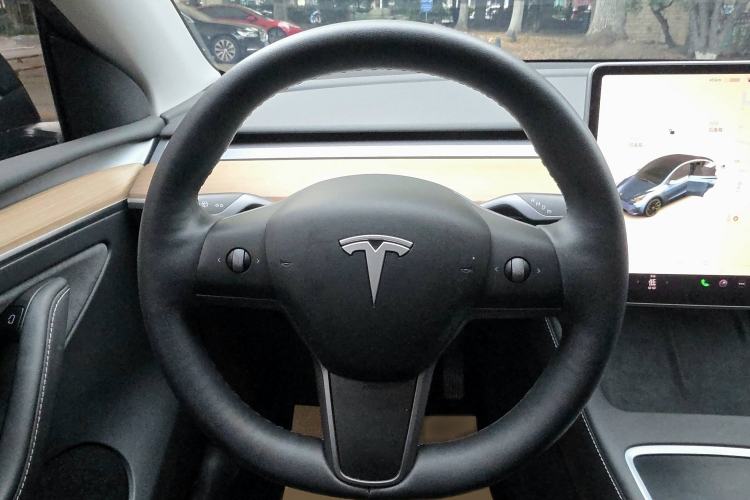 Used Tesla Model Y 2021 Standard Range Rear-Wheel Drive Version
