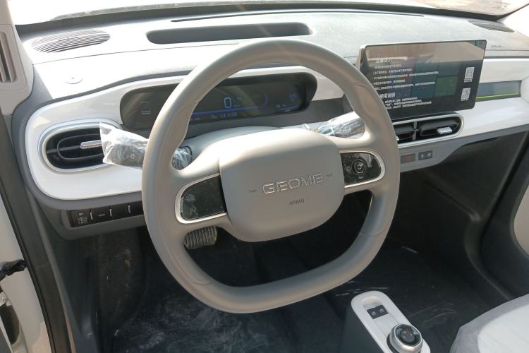 Used  Panda 2025 210 km – Yuanqi Bear
