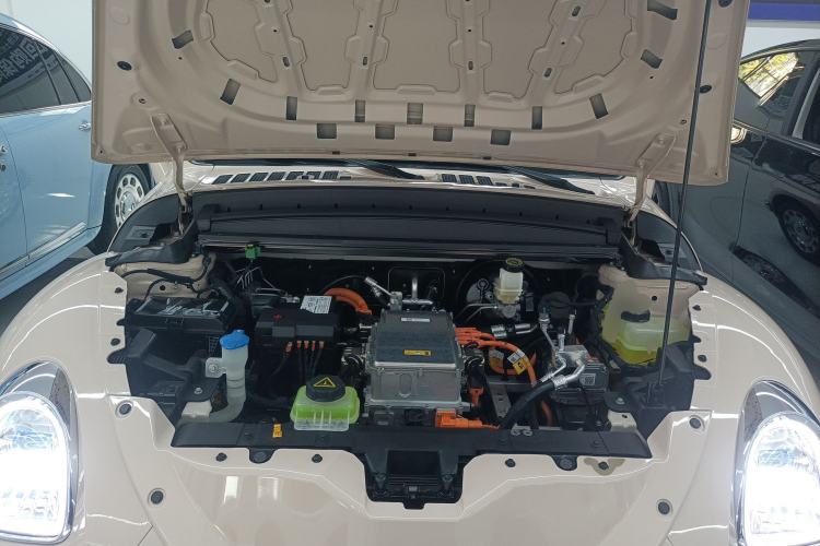 Used ORA Ballet Cat 2022 401 km Nutcracker Edition
