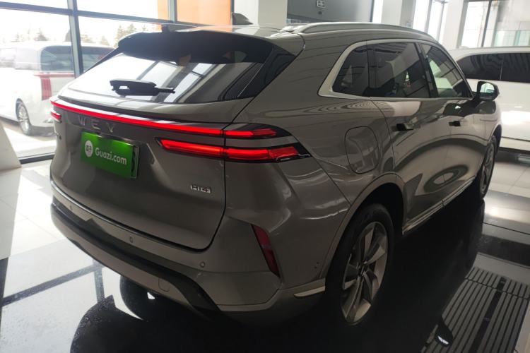 Used Wey Mocha New Energy 2024 Hi4 Four-Wheel Drive Long-Range Version
