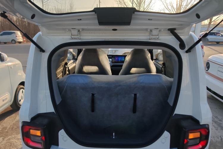 Used  Panda 2024 Panda Mini 200km Endurance Bear