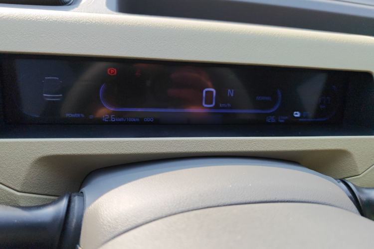 Used  Panda 2024 200km Panda Rider
