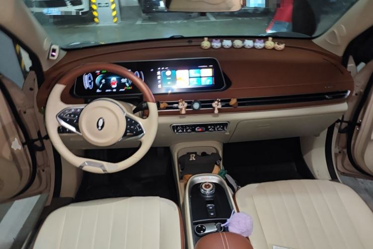 Used ORA Good Cat 2021 500km Long-Range Poseidon Edition Lithium-Ion Battery
