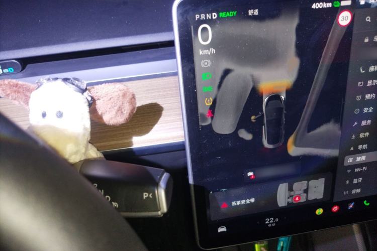 Used Tesla Model 3 2022 Rear-Wheel-Drive Version