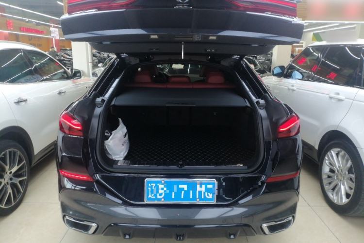 Used BMW X6 2022 xDrive40i Luxury Edition M Sport Package
