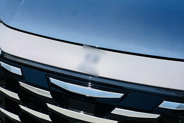 Used BYD Xia 2025 DM-i 1.5T 100km Leading Model